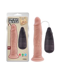 Vibrador - CN-101831107