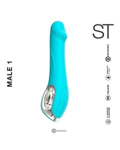 MALE 1 -  ST-VB-0294